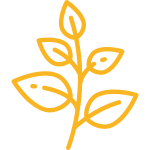 High Altitude Cultivation Icon